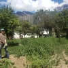 Preparing Seedlings