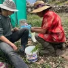 Preparing Seedlings